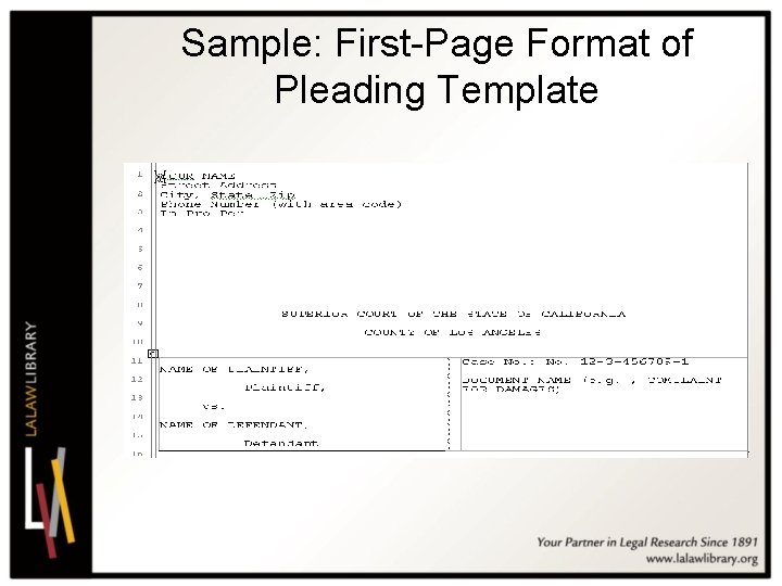 Sample: First-Page Format of Pleading Template 