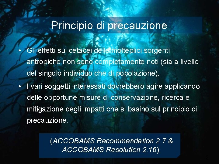 Principio di precauzione • Gli effetti sui cetacei delle molteplici sorgenti antropiche non sono