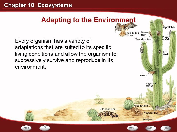 Chapter 10 Ecosystems Adapting to the Environment Every organism has a variety of adaptations