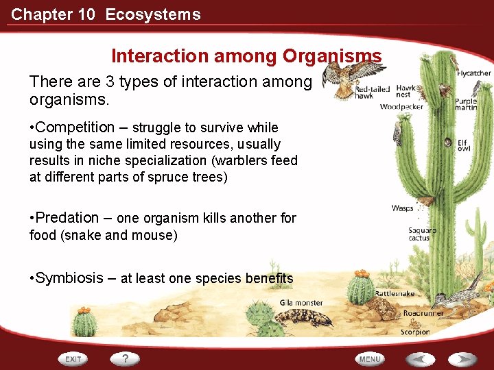 Chapter 10 Ecosystems Interaction among Organisms There are 3 types of interaction among organisms.