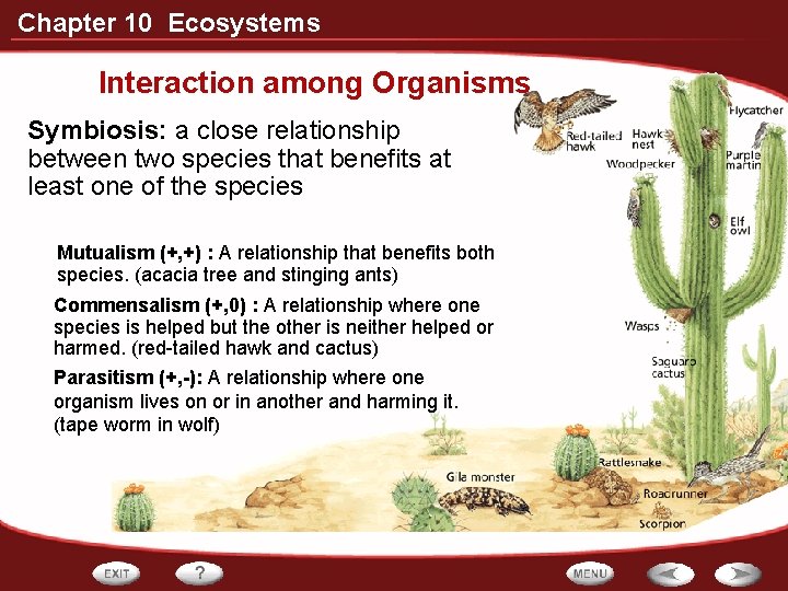 Chapter 10 Ecosystems Interaction among Organisms Symbiosis: a close relationship between two species that