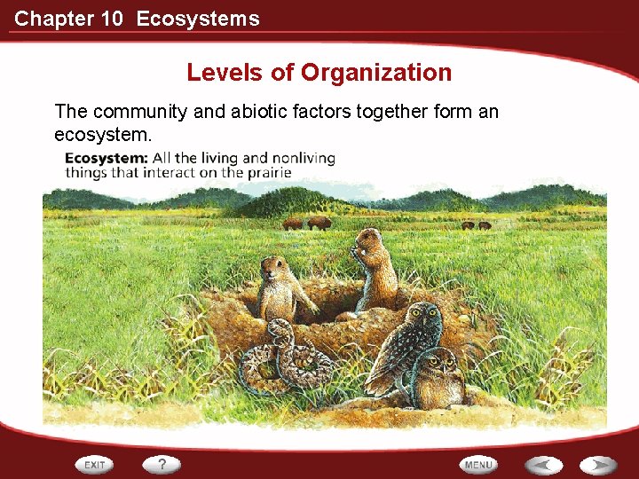 Chapter 10 Ecosystems Levels of Organization The community and abiotic factors together form an