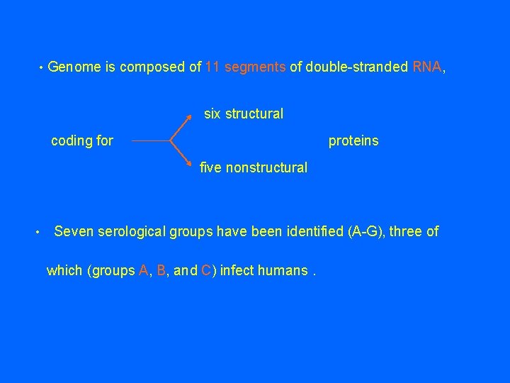  • Genome is composed of 11 segments of double-stranded RNA, six structural coding