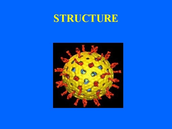 STRUCTURE 