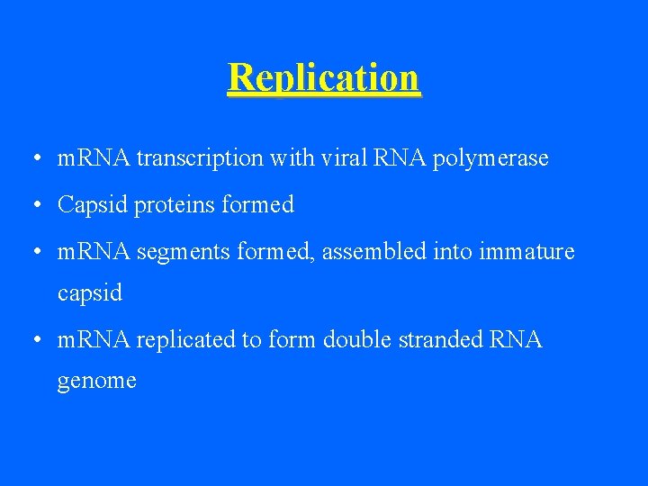 Replication • m. RNA transcription with viral RNA polymerase • Capsid proteins formed •