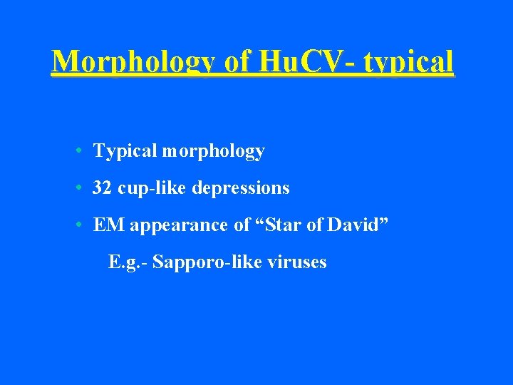 Morphology of Hu. CV- typical • Typical morphology • 32 cup-like depressions • EM