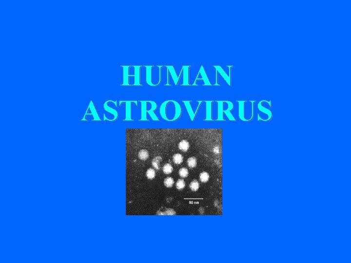 HUMAN ASTROVIRUS 