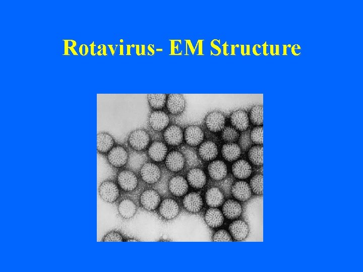 Rotavirus- EM Structure 