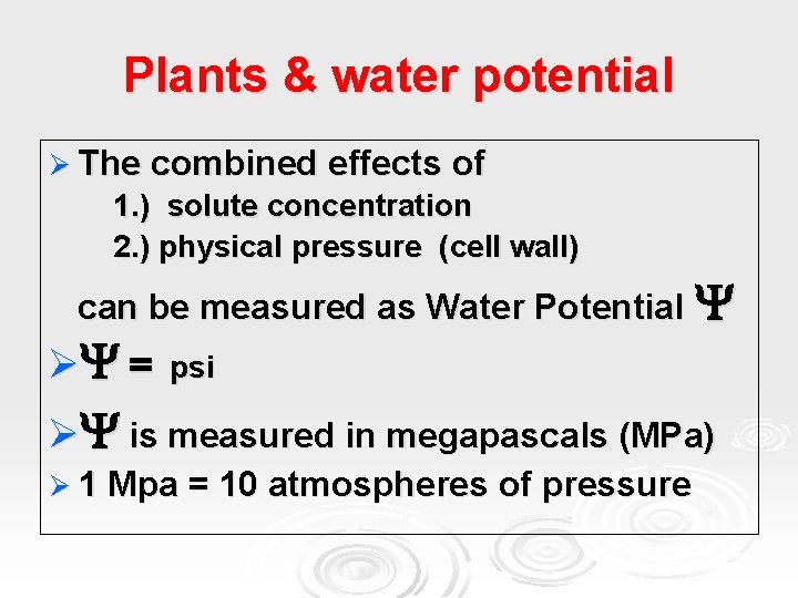 Plants & water potential Ø The combined effects of 1. ) solute concentration 2.