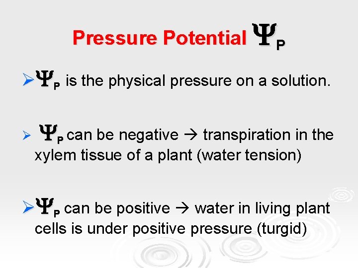 Pressure Potential P Ø P is the physical pressure on a solution. Ø P
