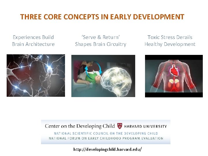 THREE CORE CONCEPTS IN EARLY DEVELOPMENT Experiences Build Brain Architecture ‘Serve & Return’ Shapes