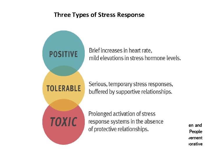 Three Types of Stress Response 