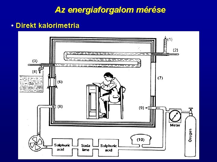 Az energiaforgalom mérése • Direkt kalorimetria 