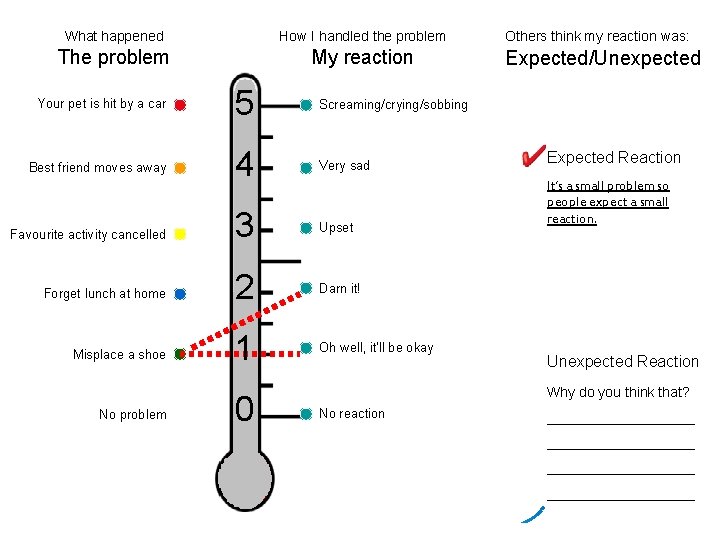 What happened How I handled the problem The problem My reaction Your pet is