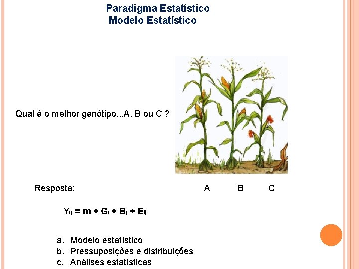 Paradigma Estatístico Modelo Estatístico Qual é o melhor genótipo. . . A, B ou