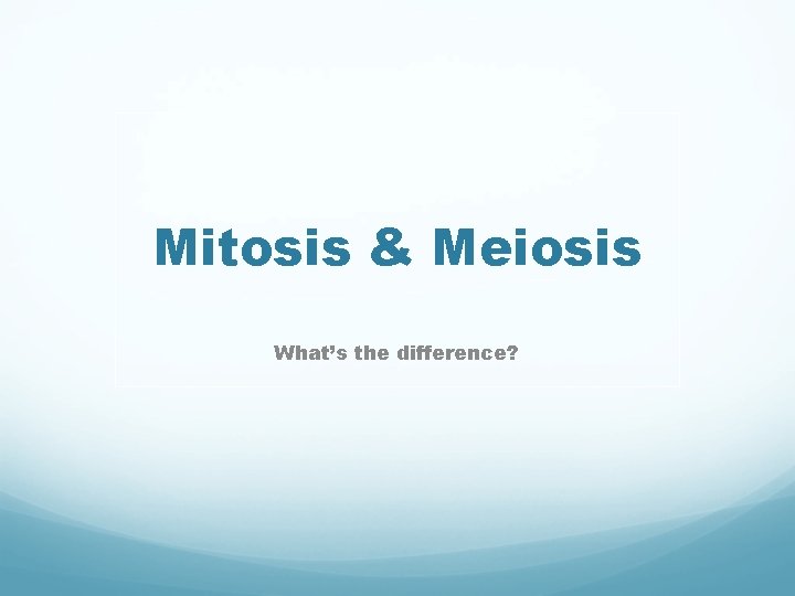 Mitosis & Meiosis What’s the difference? 