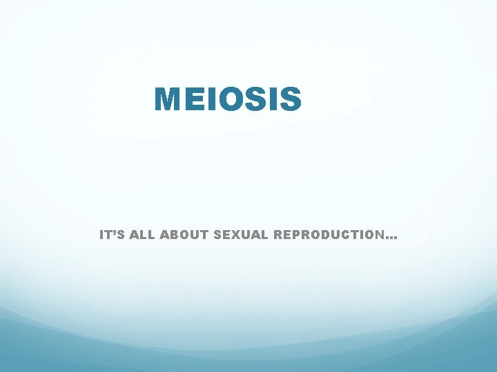 MEIOSIS IT’S ALL ABOUT SEXUAL REPRODUCTION… 