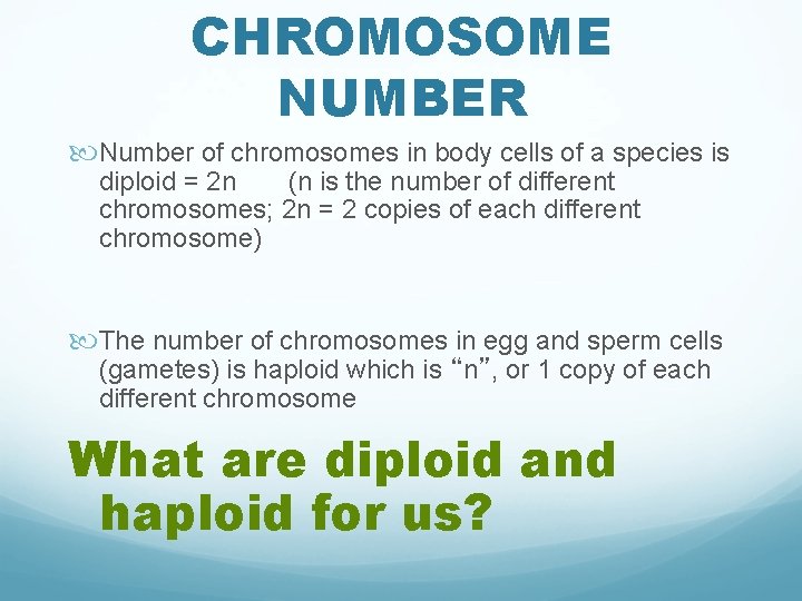 CHROMOSOME NUMBER Number of chromosomes in body cells of a species is diploid =
