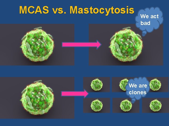 MCAS vs. Mastocytosis We act bad We are clones 