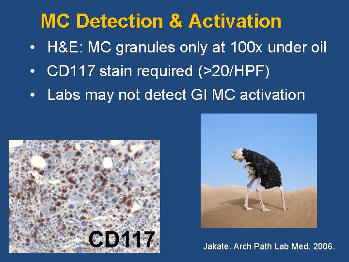  MC Detection & Activation • H&E: MC granules only at 100 x under