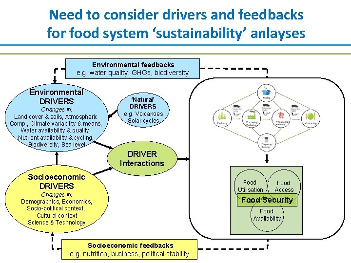 Need to consider drivers and feedbacks for food system ‘sustainability’ anlayses Environmental feedbacks e.