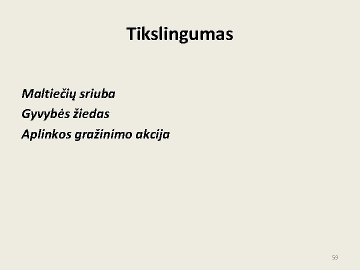 Tikslingumas Maltiečių sriuba Gyvybės žiedas Aplinkos gražinimo akcija 59 