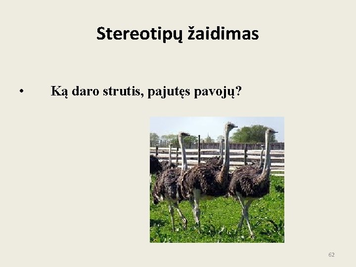 Stereotipų žaidimas • Ką daro strutis, pajutęs pavojų? 62 