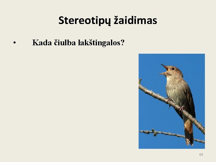 Stereotipų žaidimas • Kada čiulba lakštingalos? 64 