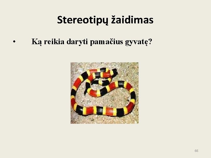 Stereotipų žaidimas • Ką reikia daryti pamačius gyvatę? 66 Stereotipų žaidimas • Ką reikia daryti pamačius gyvatę? 66