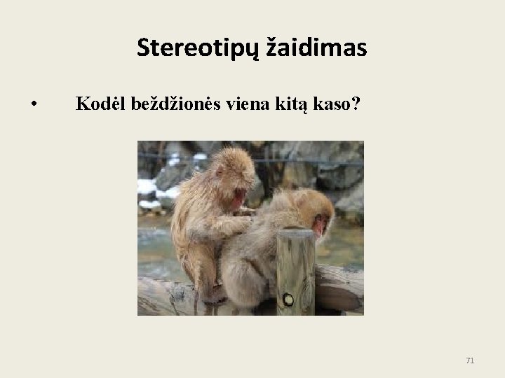 Stereotipų žaidimas • Kodėl beždžionės viena kitą kaso? 71 