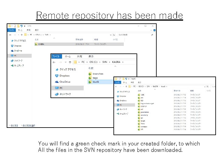 Remote repository has been made You will find a green check mark in your