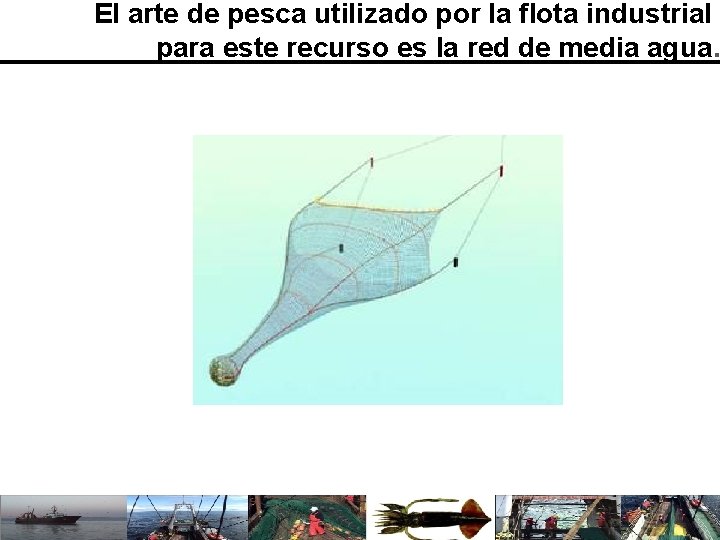 El arte de pesca utilizado por la flota industrial para este recurso es la