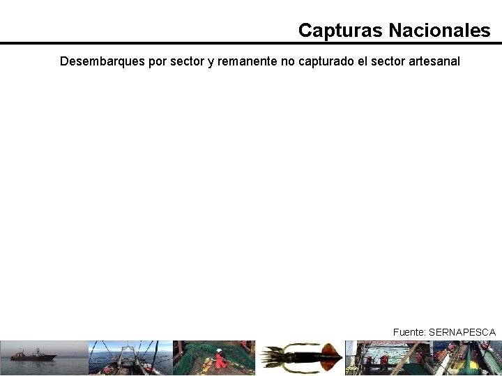 Capturas Nacionales Desembarques por sector y remanente no capturado el sector artesanal Fuente: SERNAPESCA