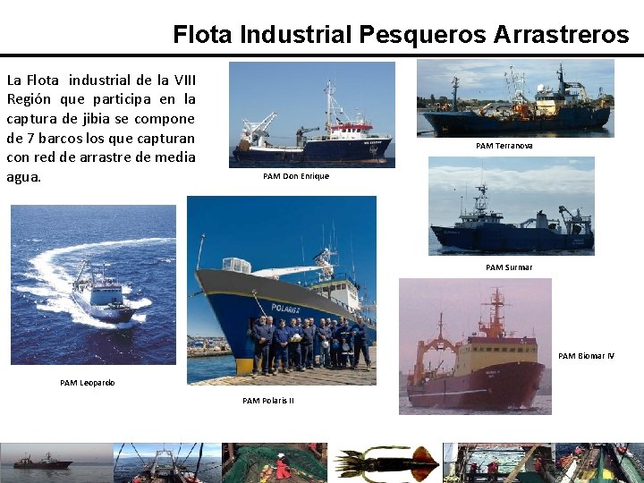 Flota Industrial Pesqueros Arrastreros La Flota industrial de la VIII Región que participa en