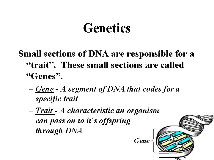 Genetics Small sections of DNA are responsible for a “trait”. These small sections are