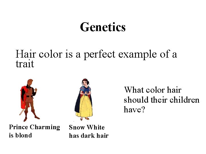 Genetics Hair color is a perfect example of a trait What color hair should