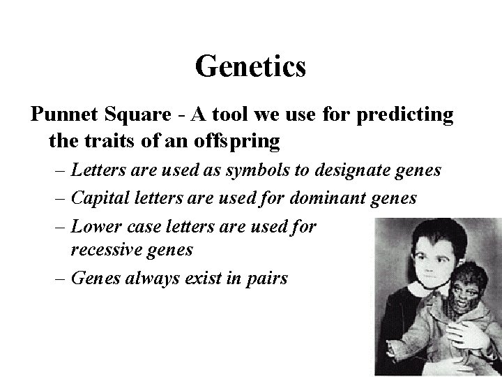 Genetics Punnet Square - A tool we use for predicting the traits of an