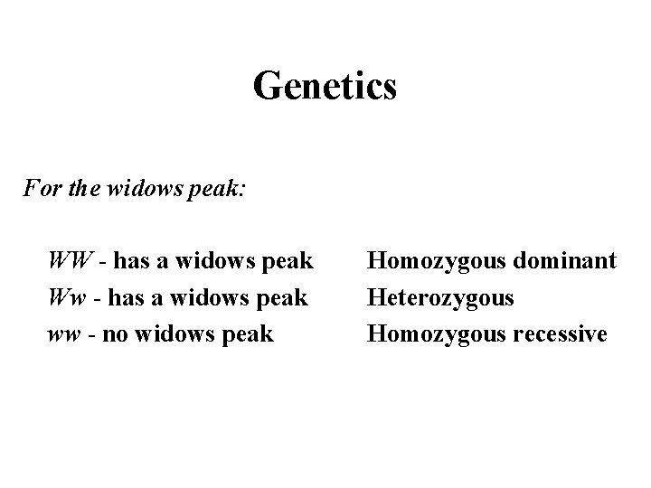 Genetics For the widows peak: WW - has a widows peak Ww - has