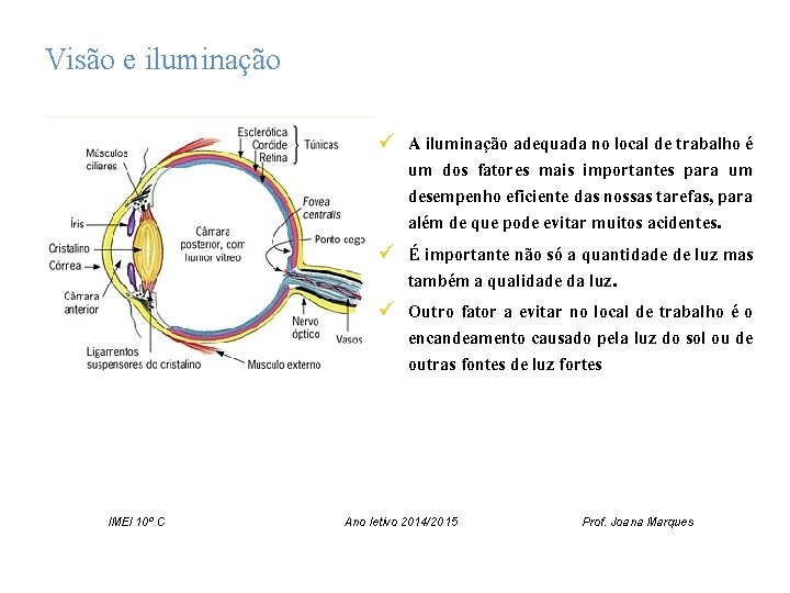 Visão e iluminação ü A iluminação adequada no local de trabalho é um dos