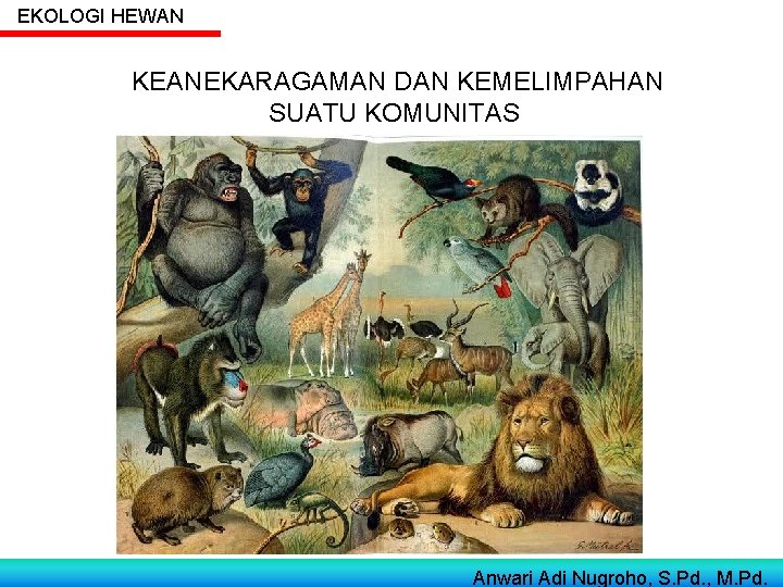 EKOLOGI HEWAN KEANEKARAGAMAN DAN KEMELIMPAHAN SUATU KOMUNITAS Anwari Adi Nugroho, S. Pd. , M.