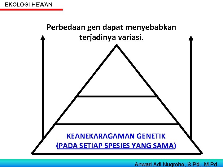 EKOLOGI HEWAN Perbedaan gen dapat menyebabkan terjadinya variasi. KEANEKARAGAMAN EKOSISTEM (ANTAR EKOSISTEM) KEANEKARAGAMAN SPESIES