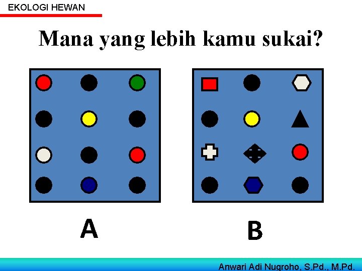 EKOLOGI HEWAN Mana yang lebih kamu sukai? A B Anwari Adi Nugroho, S. Pd. EKOLOGI HEWAN Mana yang lebih kamu sukai? A B Anwari Adi Nugroho, S. Pd.