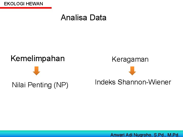 EKOLOGI HEWAN Analisa Data Kemelimpahan Keragaman Nilai Penting (NP) Indeks Shannon-Wiener Anwari Adi Nugroho,