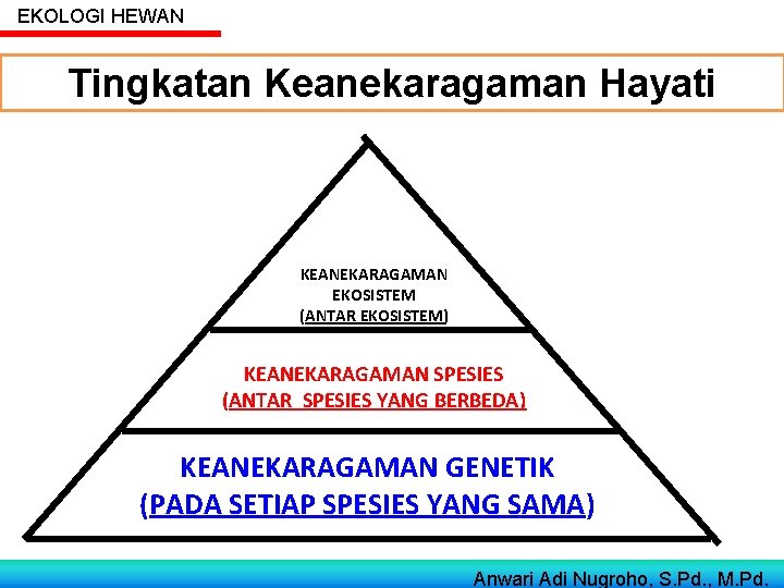 EKOLOGI HEWAN Tingkatan Keanekaragaman Hayati KEANEKARAGAMAN EKOSISTEM (ANTAR EKOSISTEM) KEANEKARAGAMAN SPESIES (ANTAR SPESIES YANG