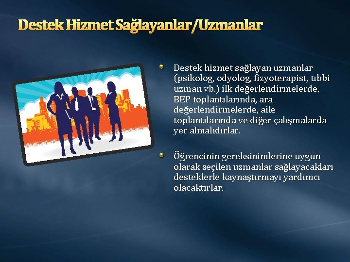 Destek Hizmet Sağlayanlar/Uzmanlar Destek hizmet sağlayan uzmanlar (psikolog, odyolog, fizyoterapist, tıbbi uzman vb. )