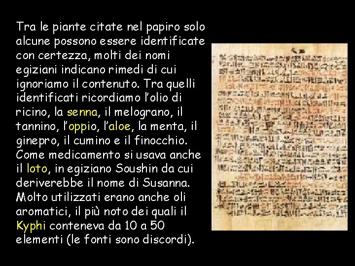 Tra le piante citate nel papiro solo alcune possono essere identificate con certezza, molti