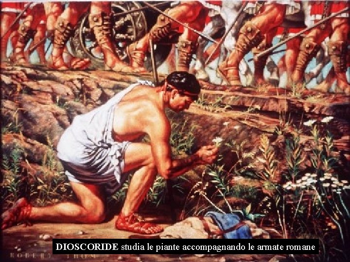 DIOSCORIDE studia le piante accompagnando le armate romane 