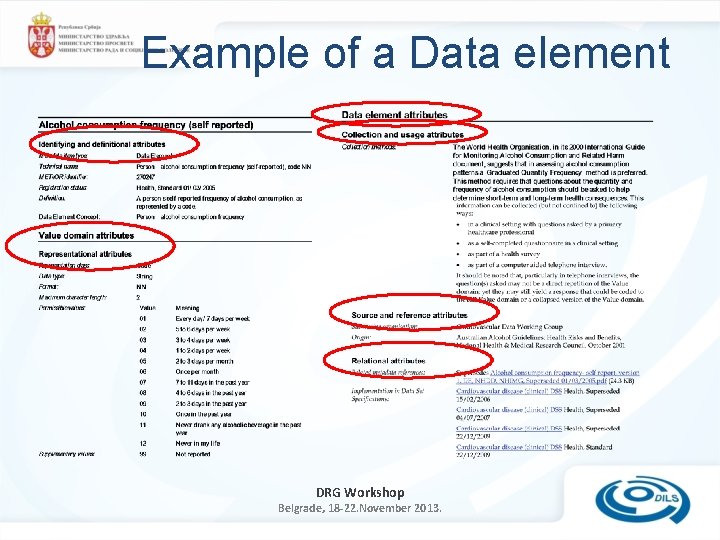 Example of a Data element DRG Workshop Belgrade, 18 -22. November 2013. 