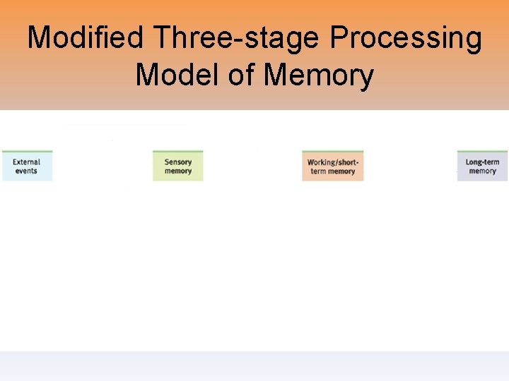 Modified Three-stage Processing Model of Memory 