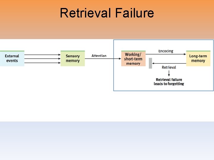 Retrieval Failure 